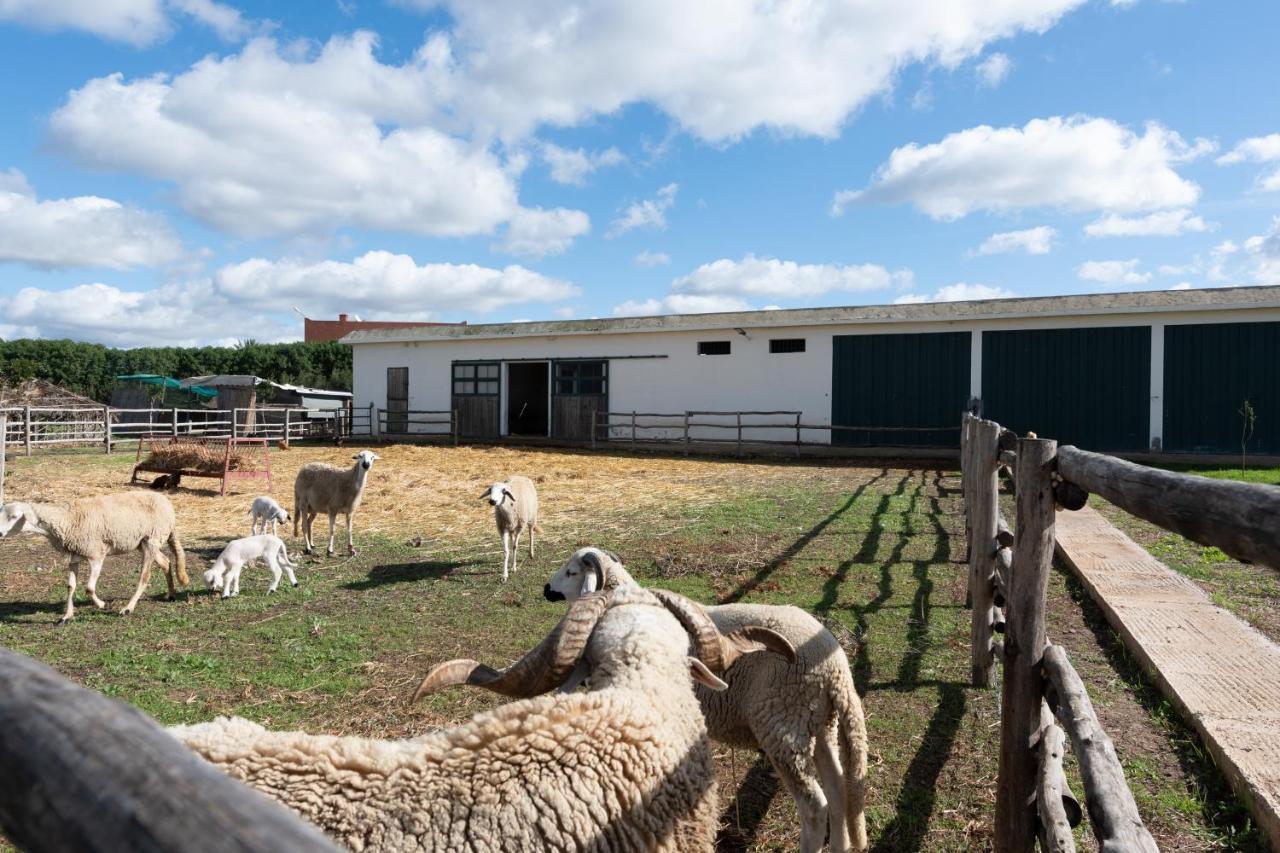 Dar Ghita En Campagne Villa Benslimane Exteriör bild